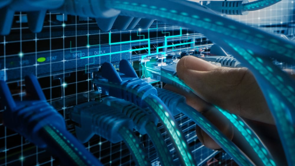 White Box Networking: Making the Switch