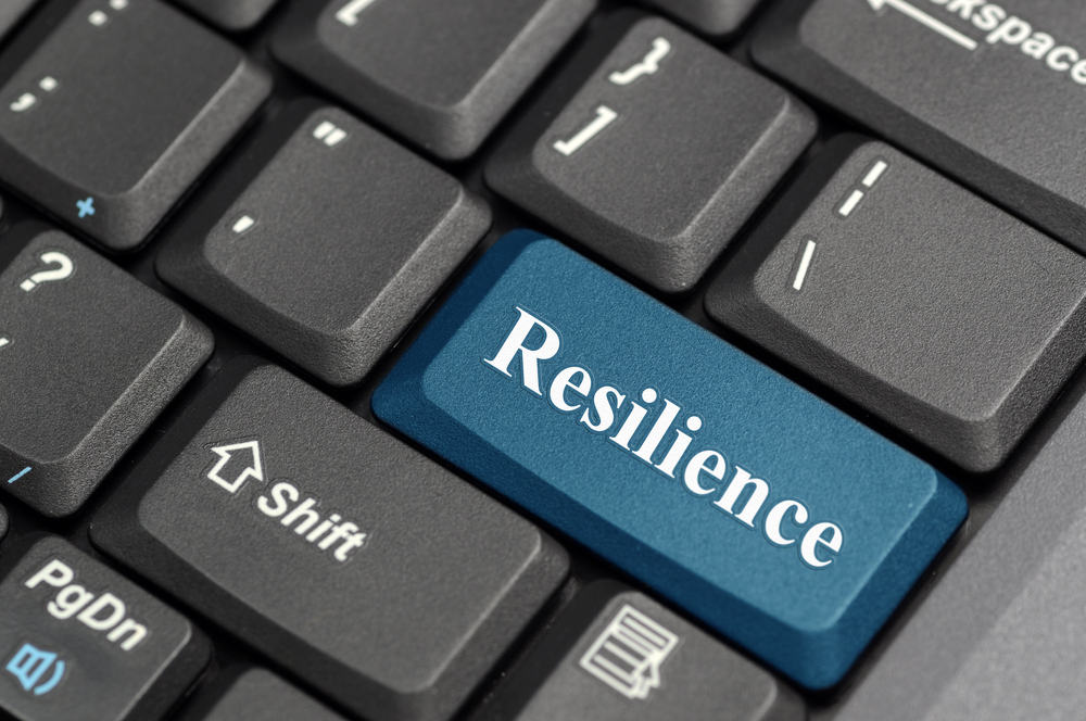 Network Resilience vs Redundancy vs Backups