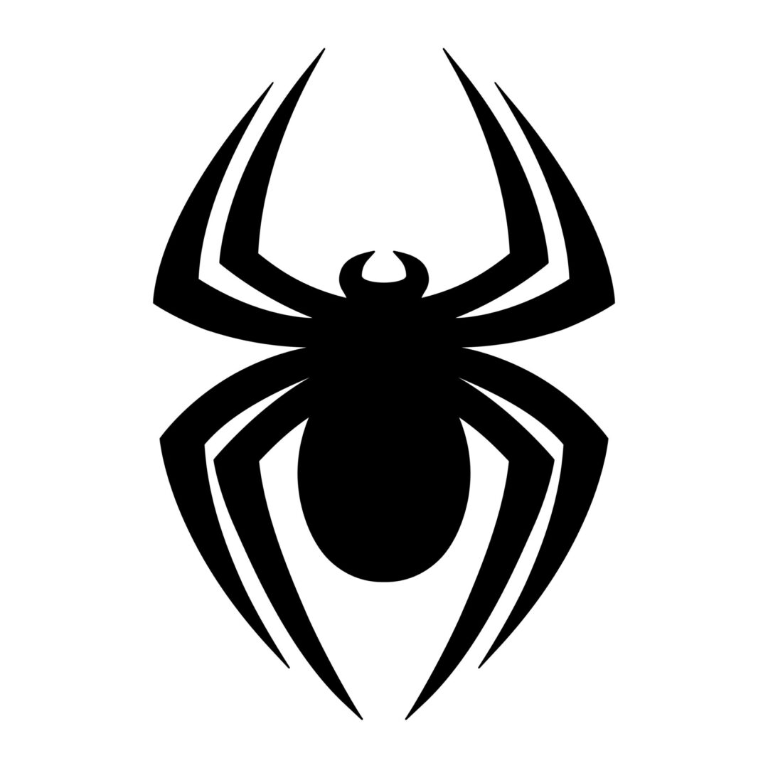 Spider Bug Insect graphic