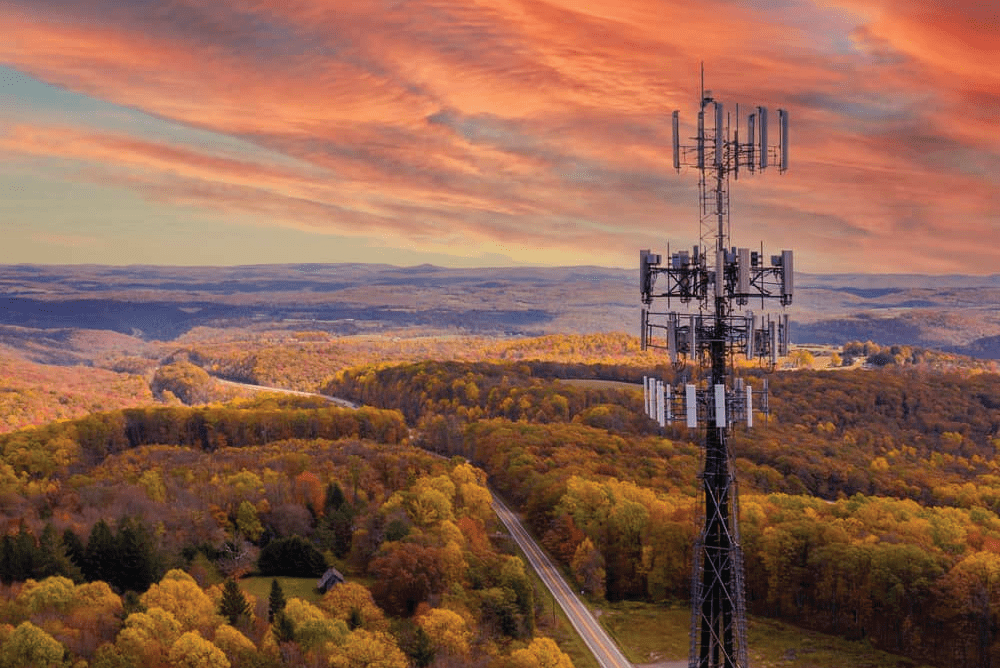Digital Service Providers